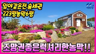 뷰좋은주말농장, 농막있는부지,농막있는전, 강화도주말농장, 나만의쉼터.나는자연인이다.