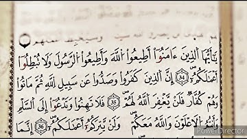 يا أيها الذين آمنوا أطيعوا الله و أطيعوا الرسول و لا تبطلوا أعمالكم || سورة محمد || رعد محمد الكردي