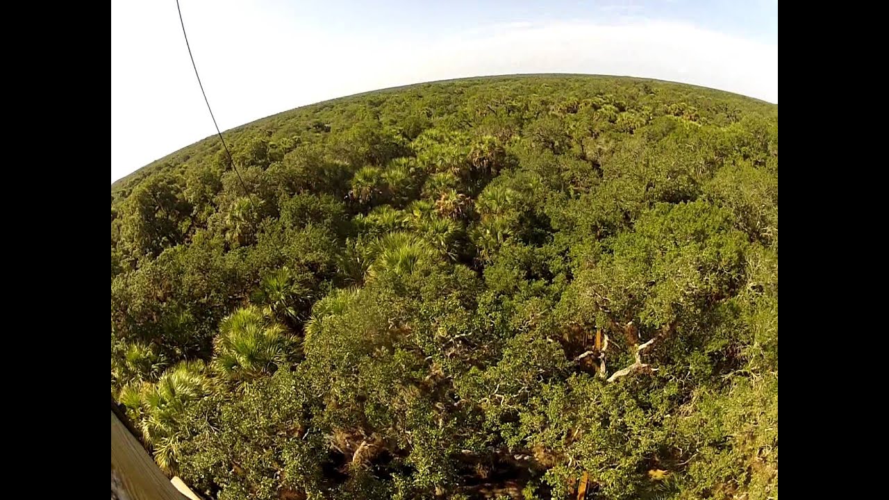 indian mounds in florida Myakka Canopy Walkway and Observation Tower