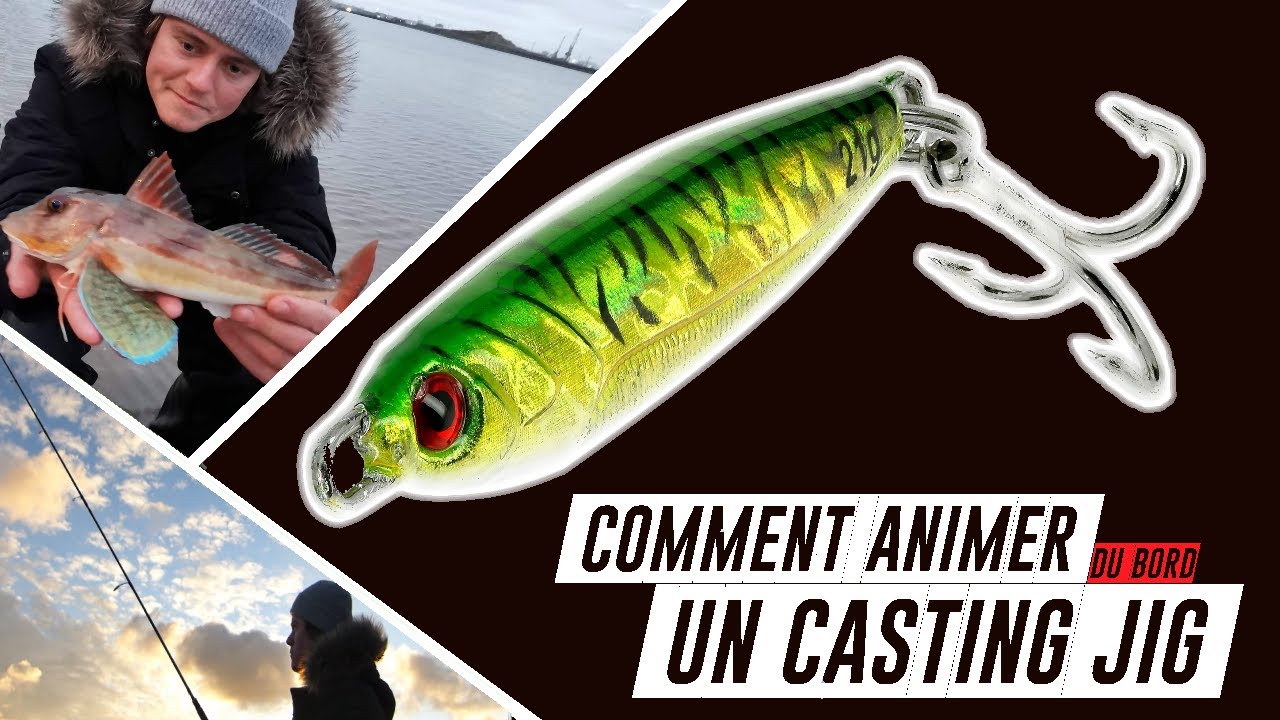 Pêche au jig: comment pêcher brochet, sandre et bar ? Jig casting