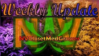 Weekly Update 2/29/2016