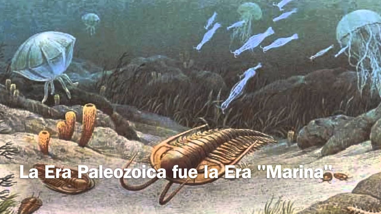 Палеозой кембрий