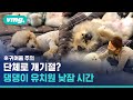 낮잠 자는 강아지 유치원, 정말 이렇게 잠든다고? | Puppy Kindergarten where dogs take nap? / 비디오머그