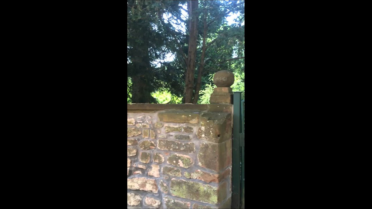 Wedding at St. Gangolf