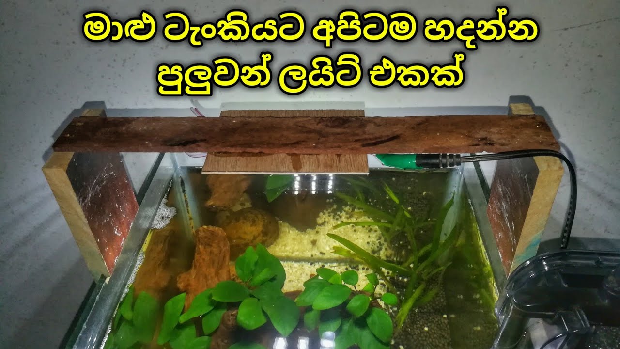DIY Aquarium Light & Stand අපිම හදන ලයිට් එකක් YouTube