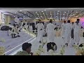 الفنان:توفيق نهيان ماشي عسل من غير نوب 2026برعه