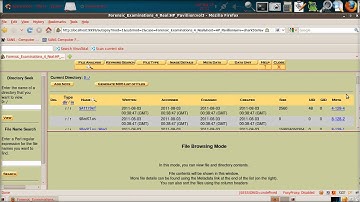 Computer Forensic Examinations 4   The Examination   Part 2