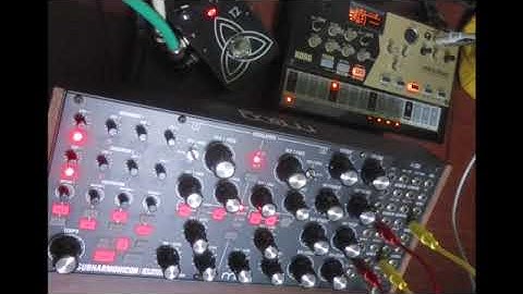 moog subharmonicon  korg  volca drum  tc t2