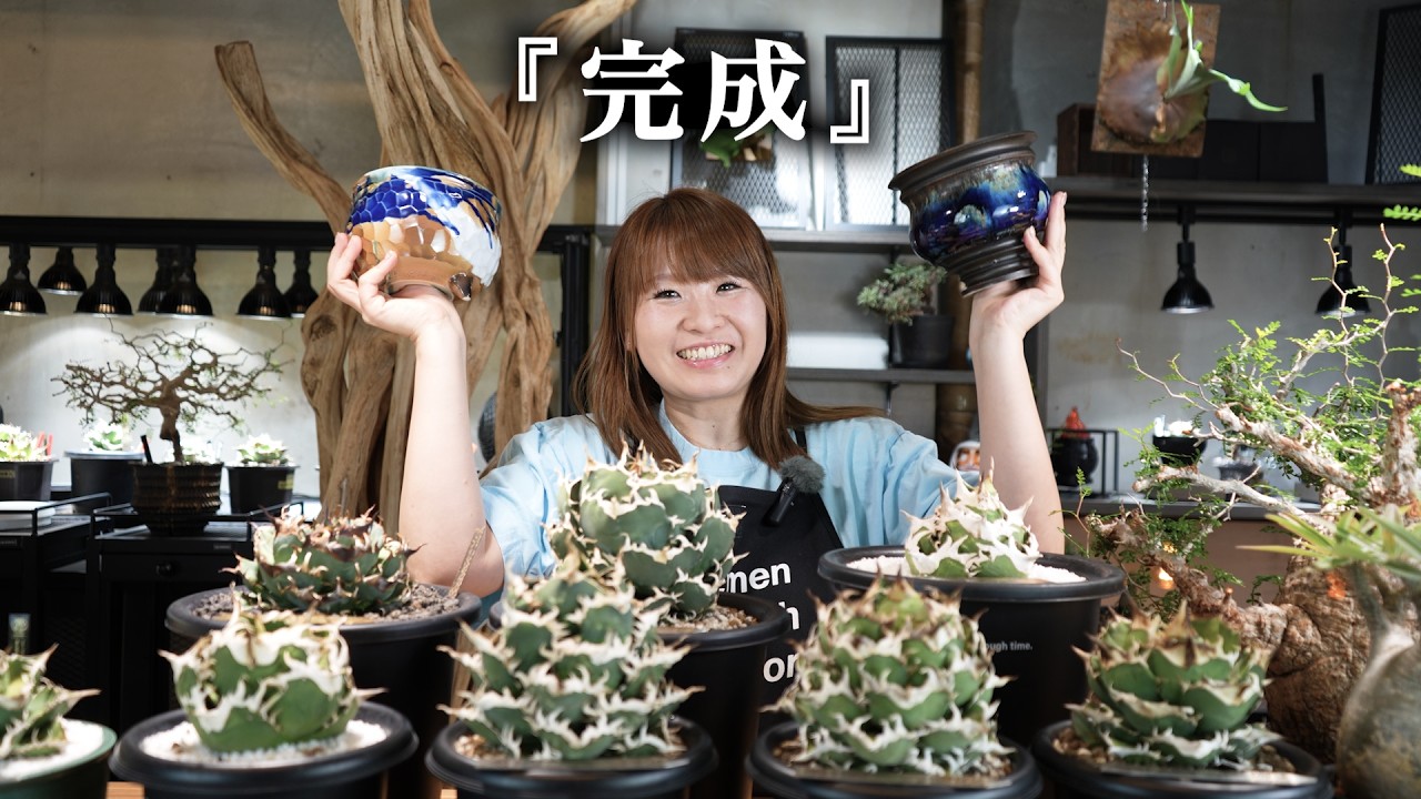 アガベ】高級陶器鉢へ「ここで止める。完成したアガベの最終形」 - YouTube