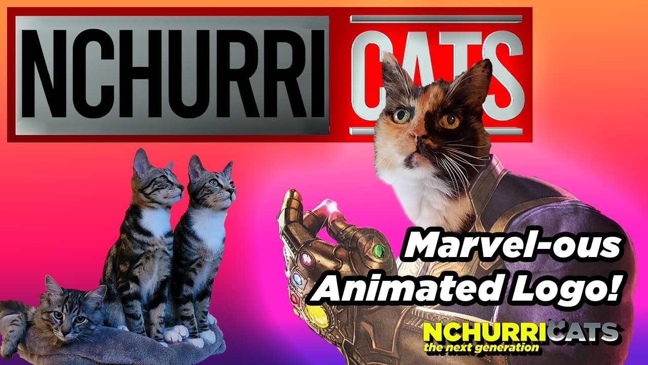 Meet the NCHurricats! | Marvel Studios Intro 🐈🐈🐈#cat #catdad