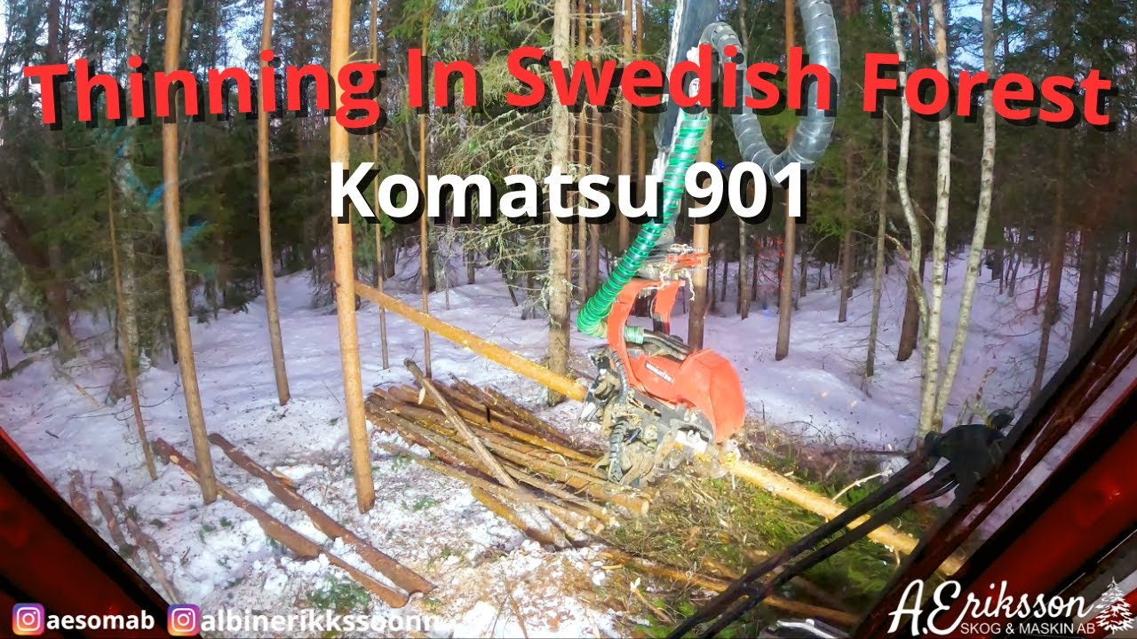 Komatsu 901 C93 | Thinning