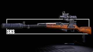 картинка: СКС 