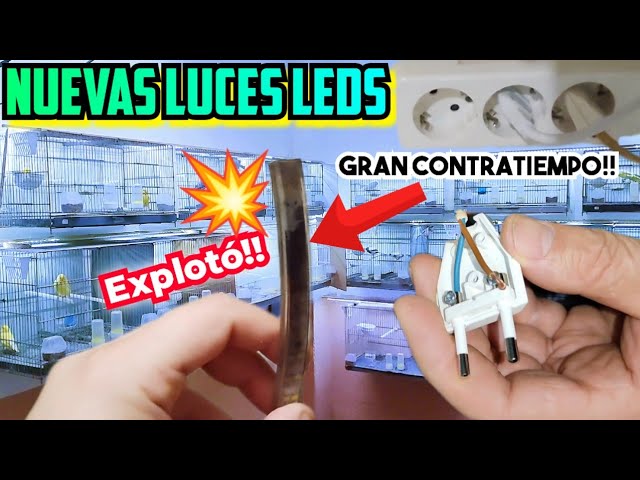 Instalación Tiras Led con transformador y controlador TC420  #Idea para  ampliar la temporada de cría en tu aviario: #VideoTutorial de cómo realizar  las conexiones de las tiras de #led, el transformador