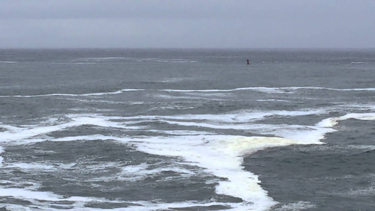 Whale Watching in Depoe Bay 2F12845C 5C9B 4EF3 A328 8017AB41E255 - YouTube