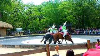 Korea, Seoul. Horse show at Minsokchon Korean village 2017
