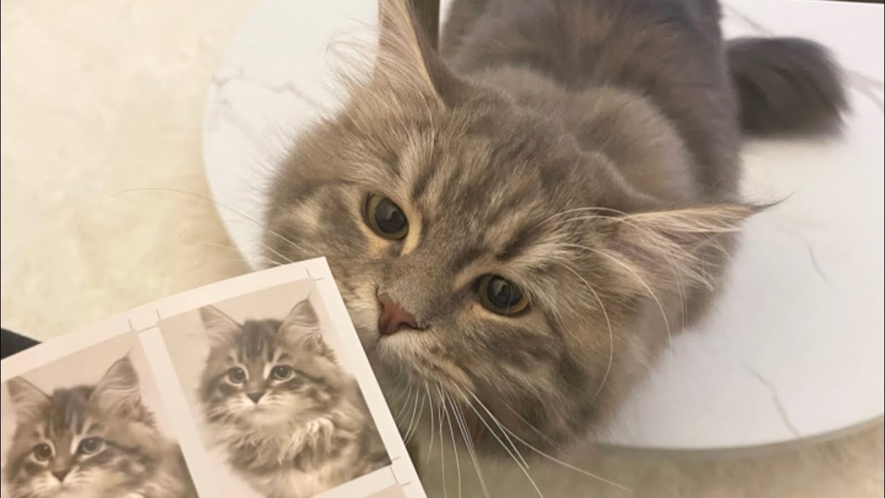 気づいたら、形にしてた