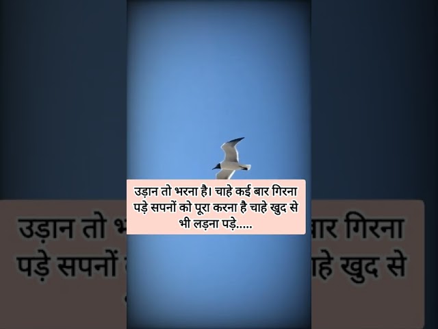 उड़ान तो भरना है। |#shortvideo #motivationalvideo #motivationalquotes #positivevibes class=