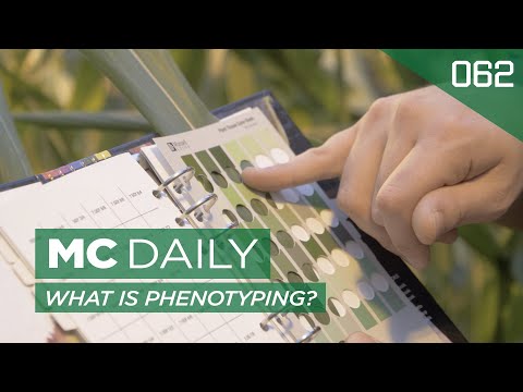 What is Phenotyping? | MC Daily 62