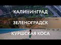 Калининград и Куршская коса. Особое место