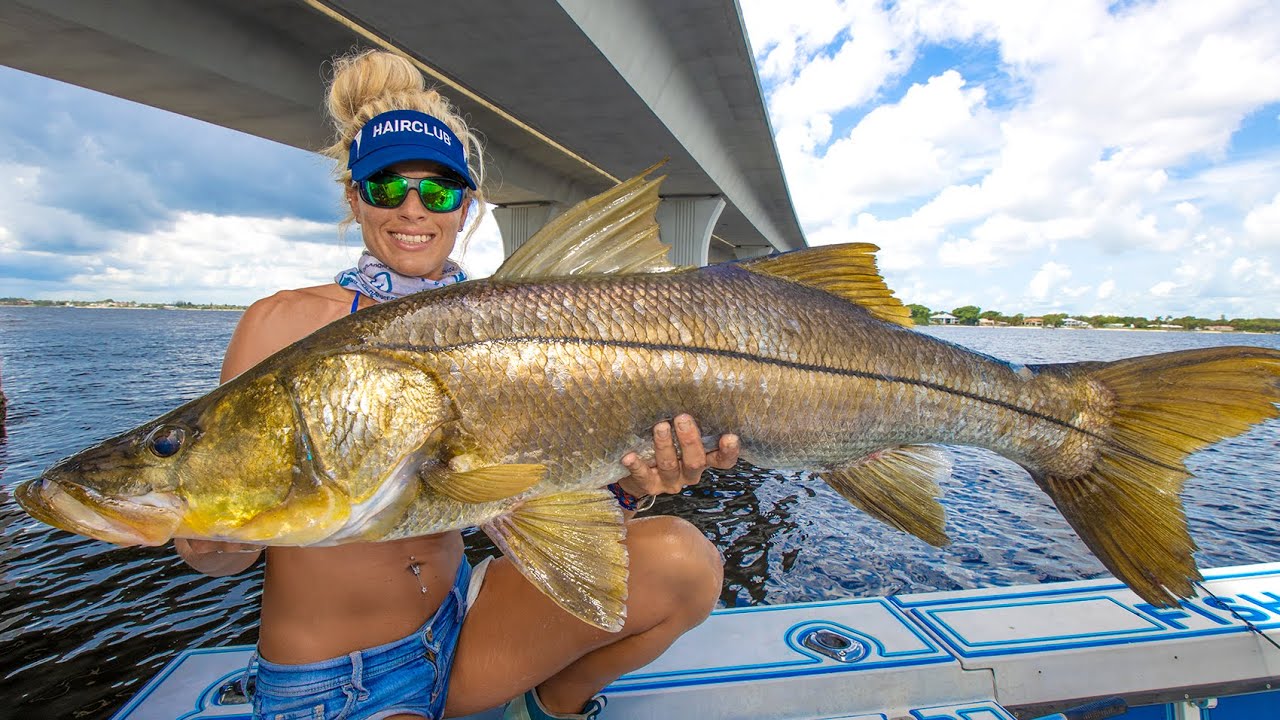 RIVER MONSTERS Exist! 😮 Bridge Fishing for GIANT Snook! 