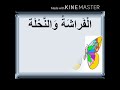 الفراشة والنحلة
