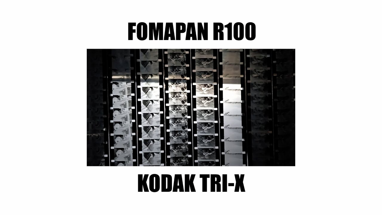 Проявка киноплёнки. Сравнение TRI-X и FOMAPAN R100
