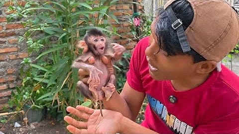 FINALLY BABY MONKEY RUBY IS ABLE TO FIGHT HER DISEASE 