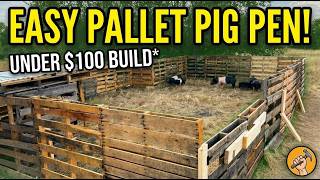 DIY Pallet Pig Pen | Easy, Low-Cost Homestead Build