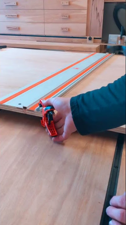 wen track saw