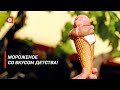 Этот десерт любит каждый белорус! Из чего готовят мороженое?