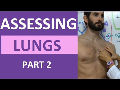 Lung Assessment Nursing | Lung Auscultation | Assessing Lung Sounds Part 2