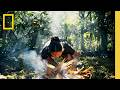 Travel to Costa Rica &amp; Experience Pura Vida | National Geographic