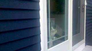 Funny Cat Running At Window