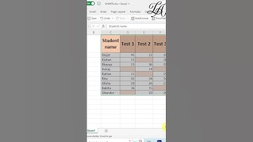 #shorts | How to Hide zeroes in Excel | Hide Zeros  #excelshorts