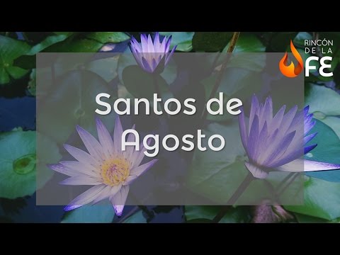 Video: Qué Fiesta En La Iglesia El 14 De Agosto