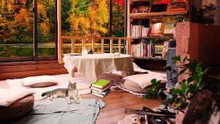 Book Cafe Ambience & Jazz Music - Coffee Shop Sounds, Cafe Music For Work, Study & Relax by Cozy Cafe Ambience 2,331 views 2 years ago 8 hours, 8 minutes