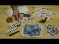 Evolution - Board Game - How to Play - North Star Games