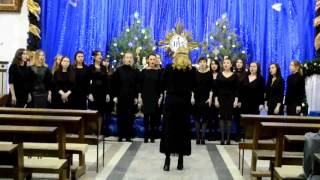 Концертное выступление хора 4 курса заочной формы получения образования ФЭО БГПУ Концертное выступление хора 4 курса заочной формы получения образования ФЭО БГПУ