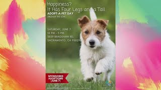 Free Pet Adoptions on June 7 – Here’s What You Need to Know