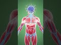 What Bubble Tea REALLY Does Inside Your Body 😳🧋 (3D Animation) #bubble #3d #science #facts