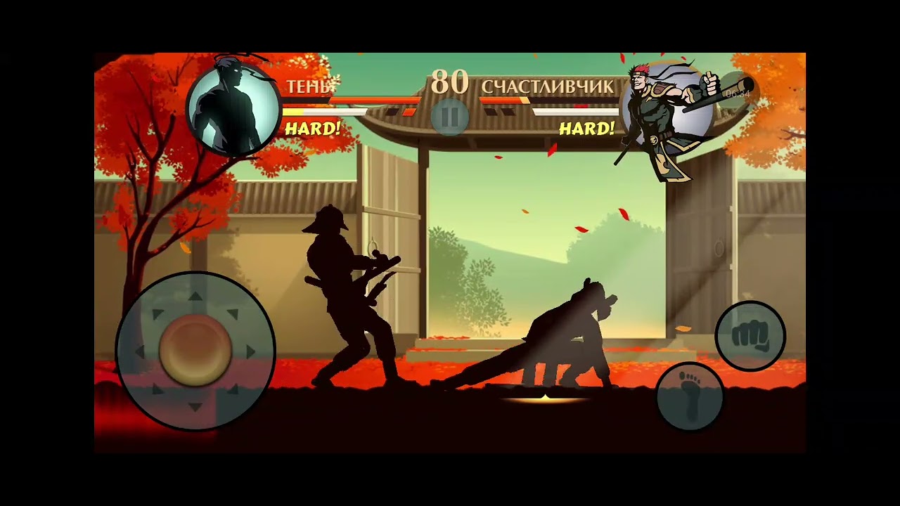 Теневой путь 