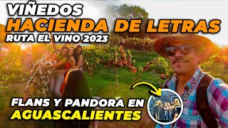 Viñedos HACIENDA de LETRAS🍇 RUTA DEL VINO 2023🍷 Aguascalientes (Flans y Pandora)