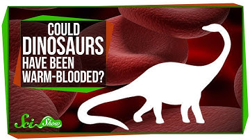 Could Dinosaurs Have Been Warm-Blooded?