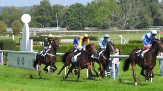 海外競馬　3歳以上　1600ｍ　horse racing　2017 0924