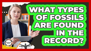 What Types Of Fossils Are Found In The Record?