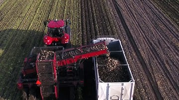 Drone Sugarbeet Harvest 2017, Fisher MN