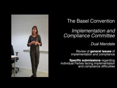 Basel Convention Implementation and Compliance Committee - Background and Governance