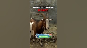 Козёл в раст/rust #COBALTLAB — самый щедрый сайт с кейсами #rust #раст #rustclips #rustshorts