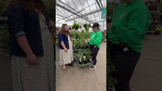 Full Sun Prairie Garden Perennials with Jill from Dutch Growers