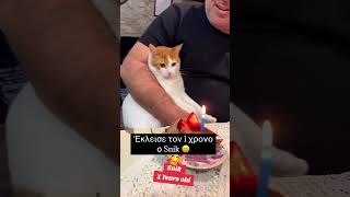 Έκλεισε τον 1 χρόνο ο Snik 😄 #κατοικιδια